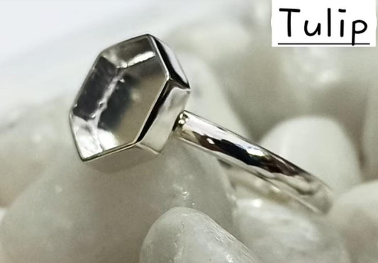 Tulip